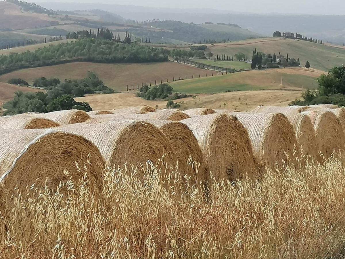 Casa Vacanze Carducci San Casciano dei Bagni Esterno foto